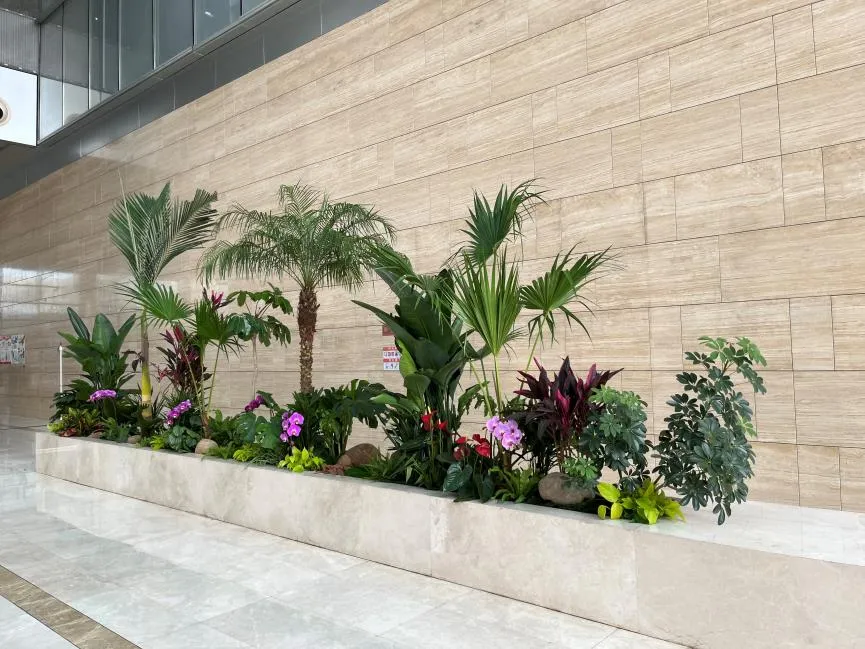 宁波慈溪花卉出租价格实惠 宁波慈溪花卉出租价格实惠